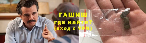 ГАЛЛЮЦИНОГЕННЫЕ ГРИБЫ Бородино