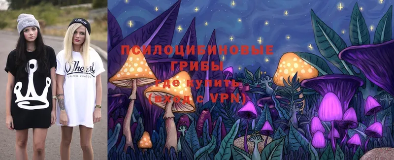 цена наркотик  Жуковский  Галлюциногенные грибы Cubensis 